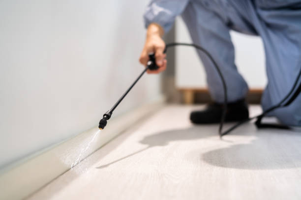 Licensed Termite Control service in Kinnelon, NJ - Nex Pest Control