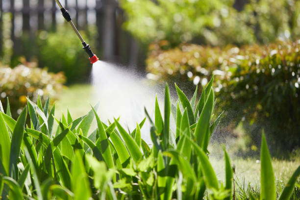 24/7 Emergency Termite Control experts in Kinnelon, NJ