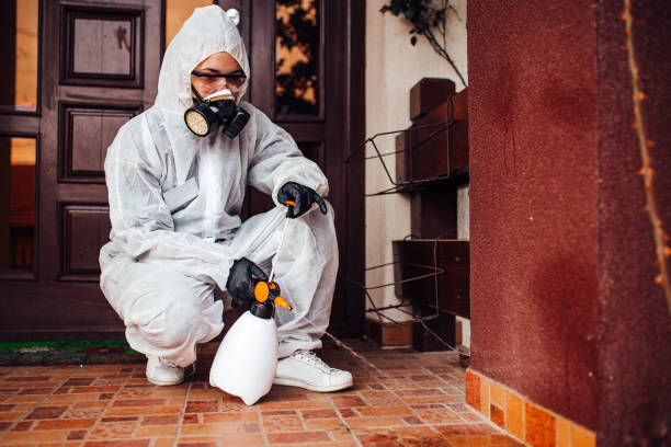 Reliable Termite Control contractor in Kinnelon, NJ by Nex Pest Control
